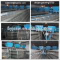 Automatic Poultry Chicken Cages With Auto Feeding, Cleaning System